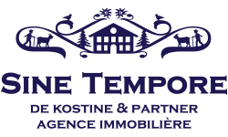 sinetempore logo web